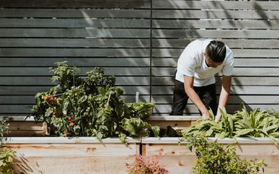 Sustainability Marketing for Restaurants: How to Serve Your Green Message