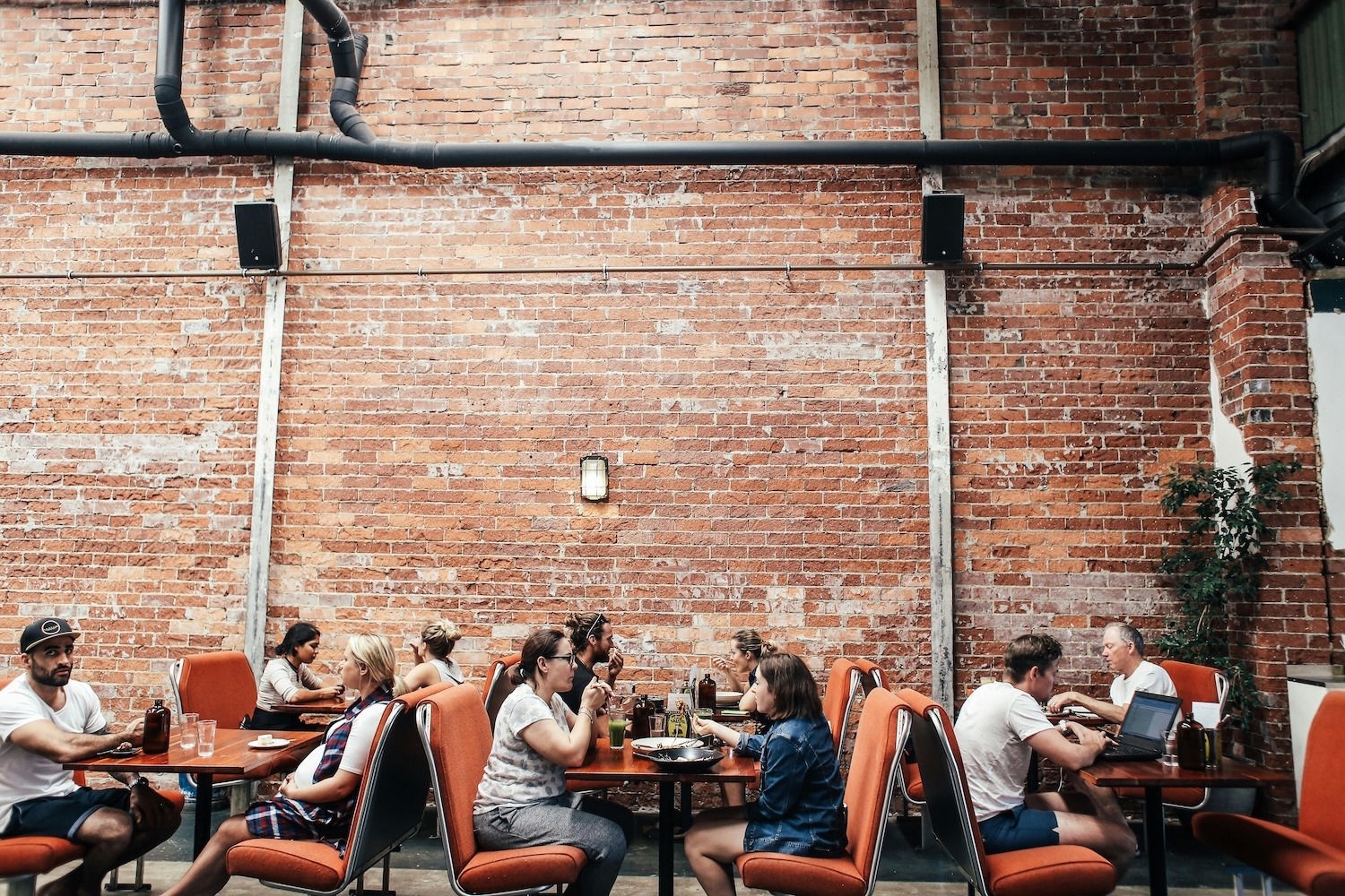 Restaurant Guests Dining Experience 2026